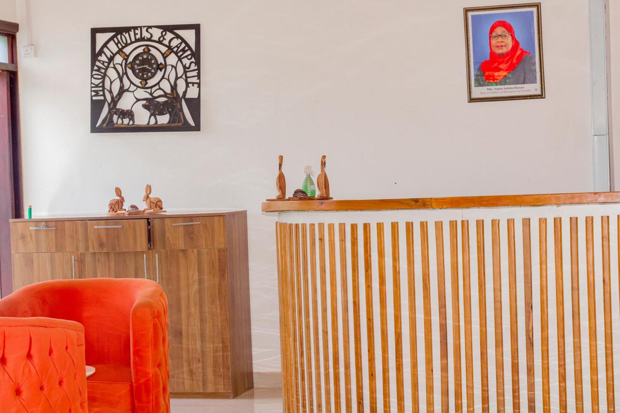 Mkomazi Hotels And Camps Hegoma Екстер'єр фото