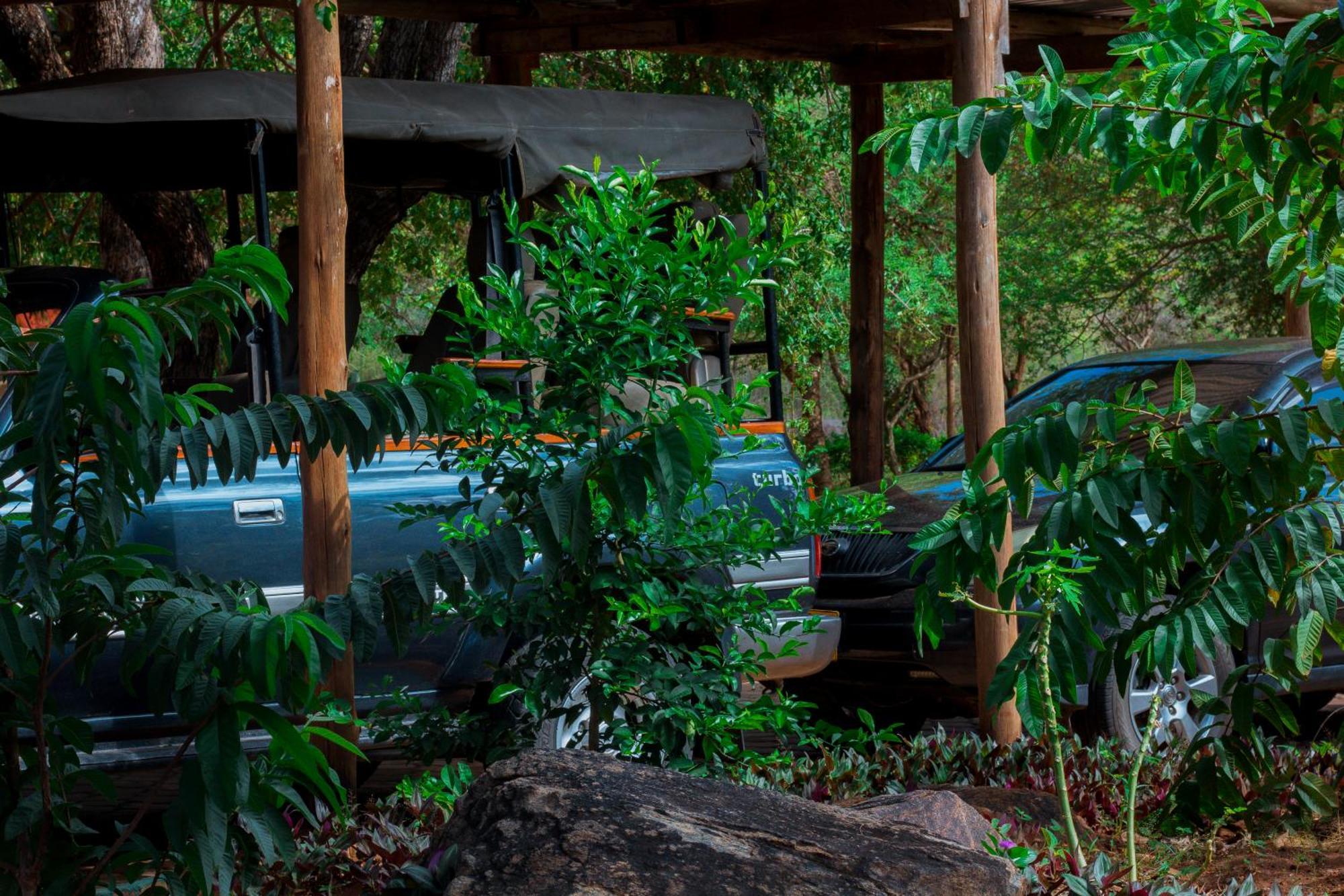 Mkomazi Hotels And Camps Hegoma Екстер'єр фото