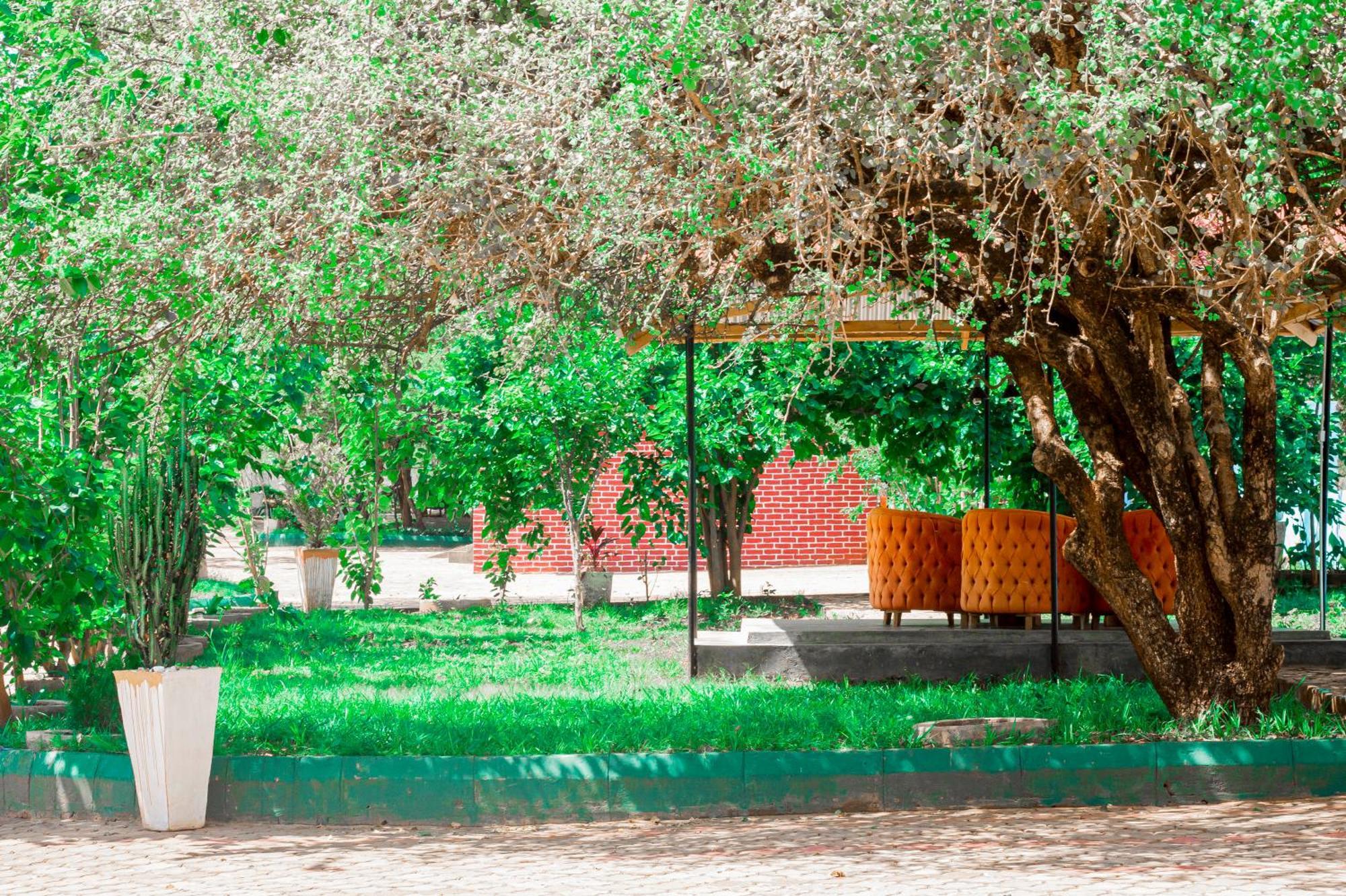 Mkomazi Hotels And Camps Hegoma Екстер'єр фото